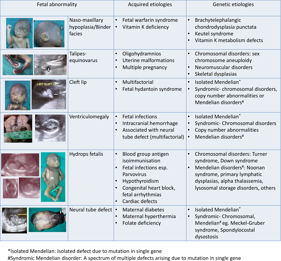 Genetic Clinics